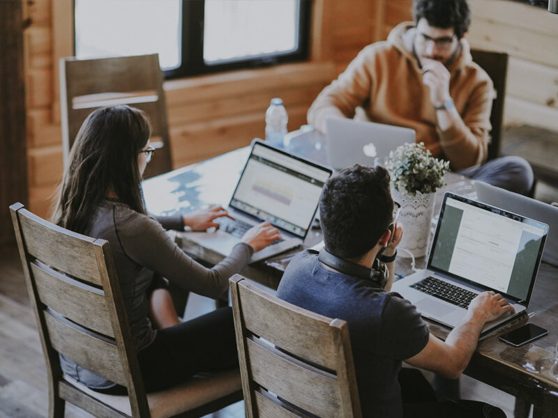 Secure Software Integration
